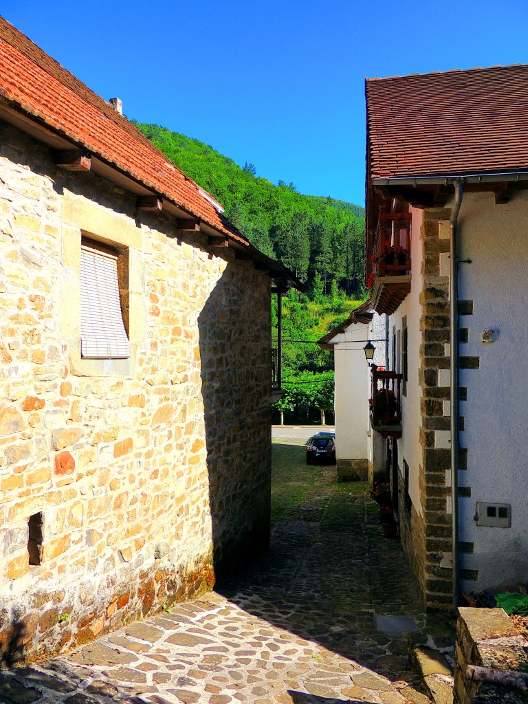 Foto de Izalzu (Navarra), España