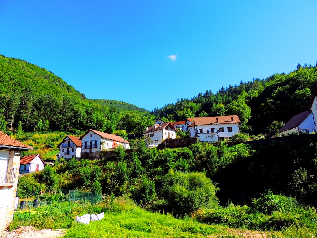 Foto de Izalzu (Navarra), España