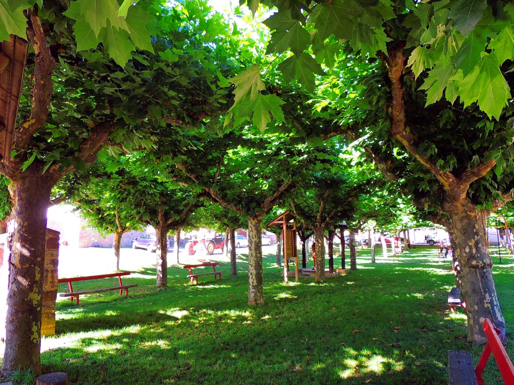 Foto de Izalzu (Navarra), España