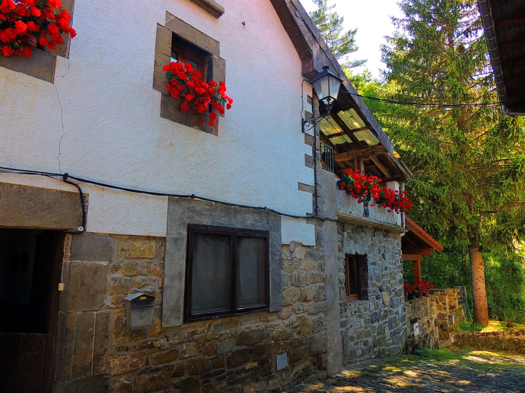 Foto de Izalzu (Navarra), España