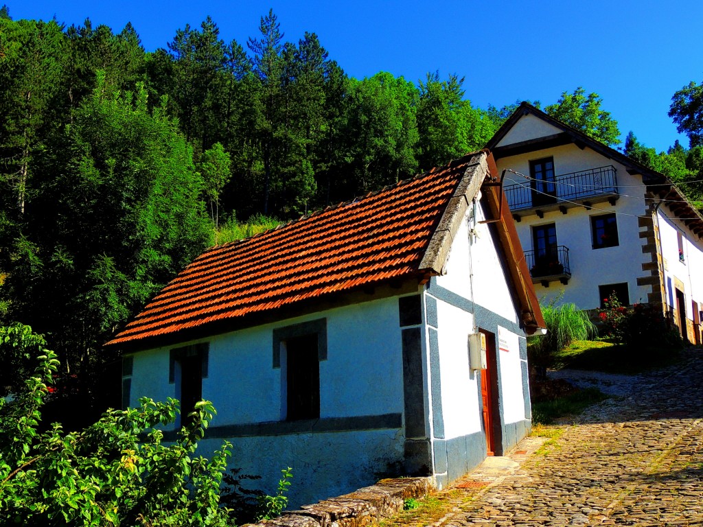 Foto de Izalzu (Navarra), España