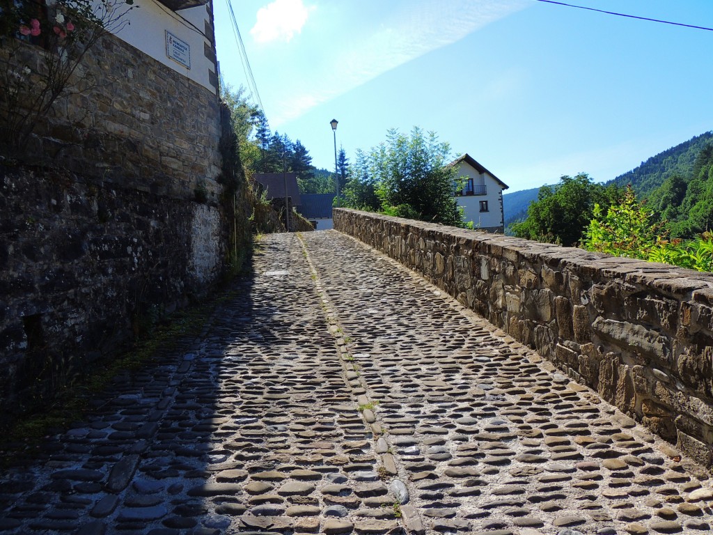 Foto de Izalzu (Navarra), España