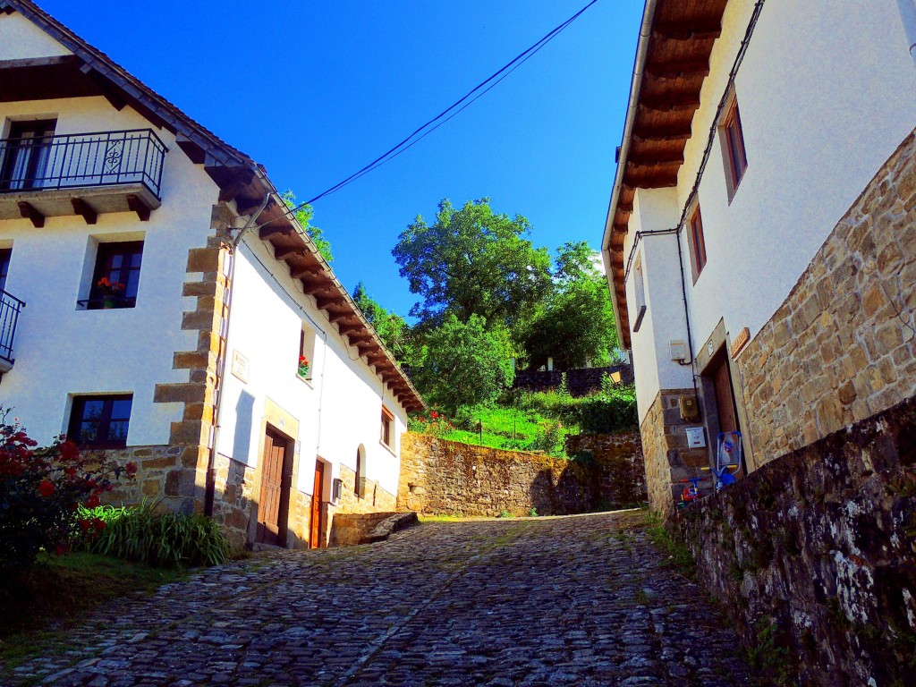 Foto de Izalzu (Navarra), España