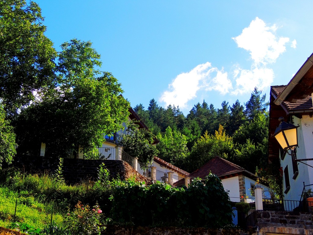 Foto de Izalzu (Navarra), España