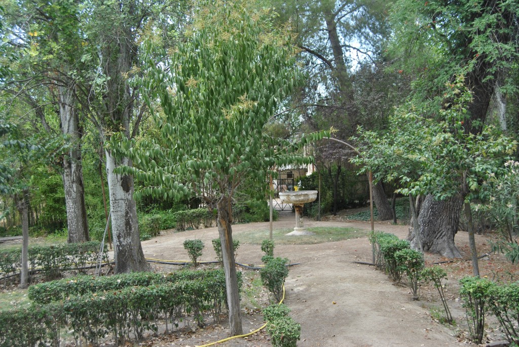 Foto de Aranjuez (Madrid), España