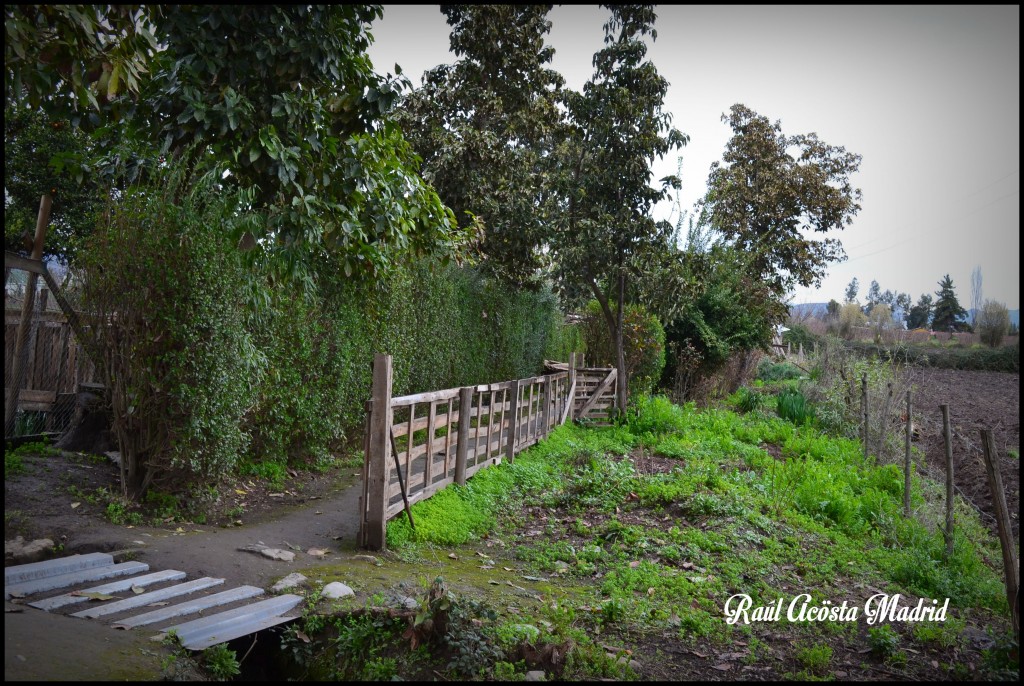 Foto de Doñihue (Libertador General Bernardo OʼHiggins), Chile