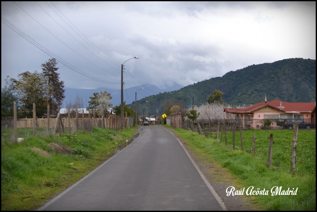 Foto de Doñihue (Libertador General Bernardo OʼHiggins), Chile
