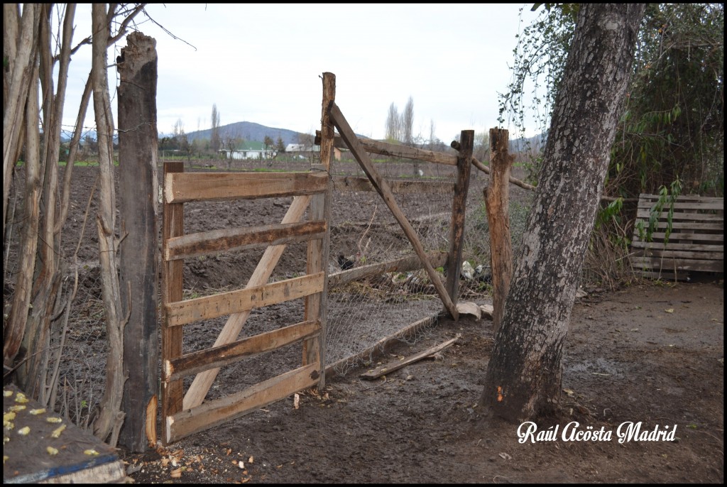 Foto de Doñihue (Libertador General Bernardo OʼHiggins), Chile