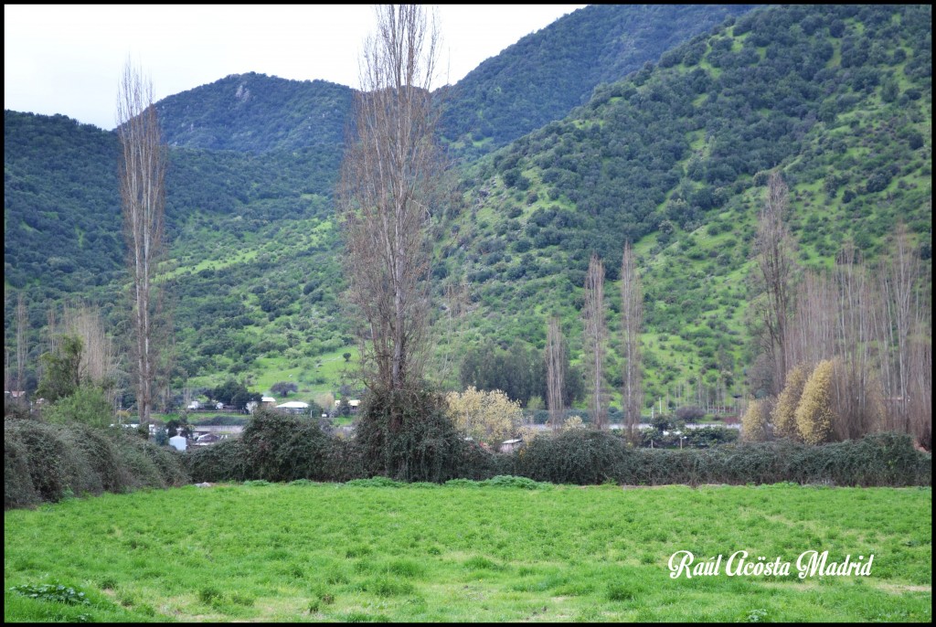 Foto de Doñihue (Libertador General Bernardo OʼHiggins), Chile