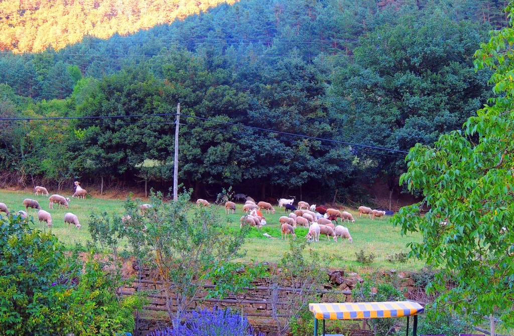 Foto de Oronz (Navarra), España
