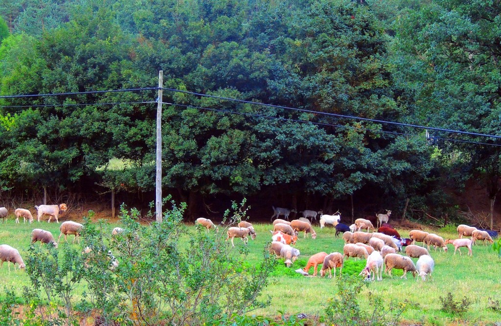 Foto de Oronz (Navarra), España