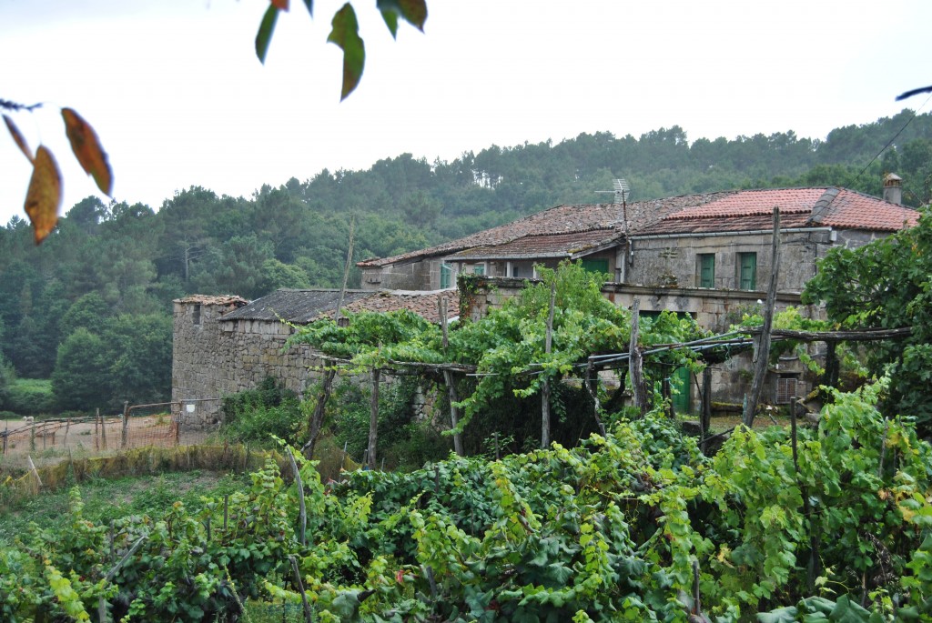 Foto de Carballino (Ourense), España