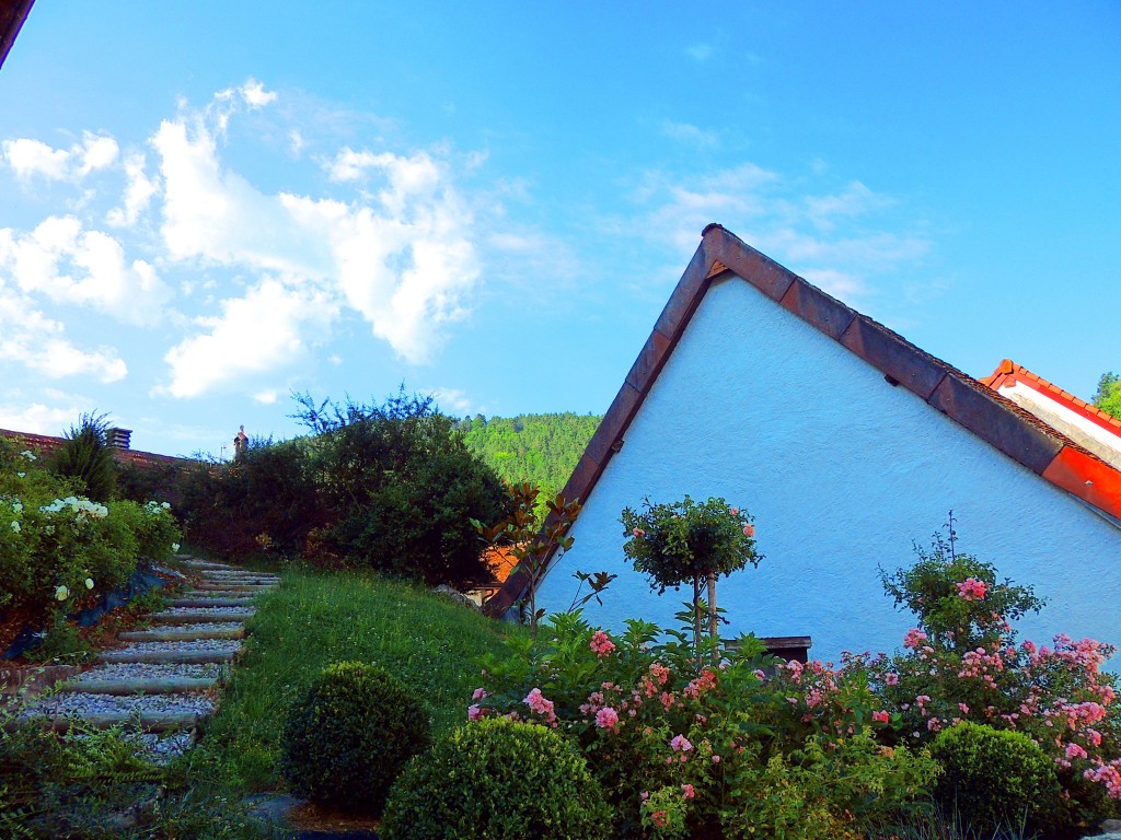 Foto de Ezcaroz (Navarra), España