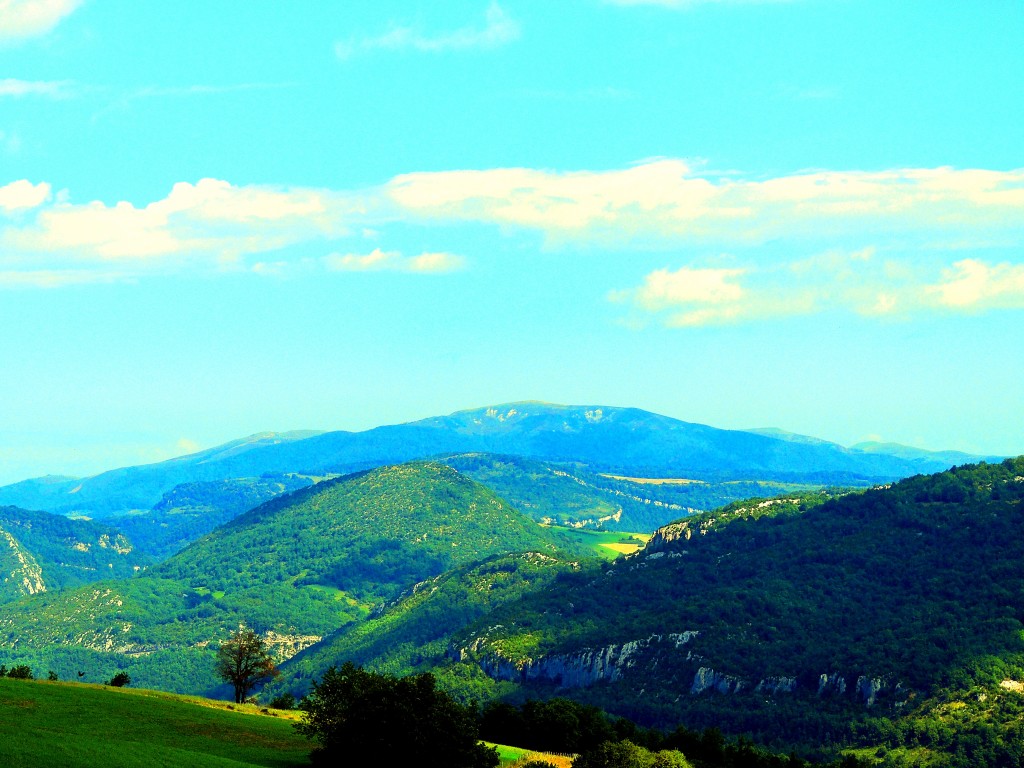 Foto de Aburrea Baja (Navarra), España