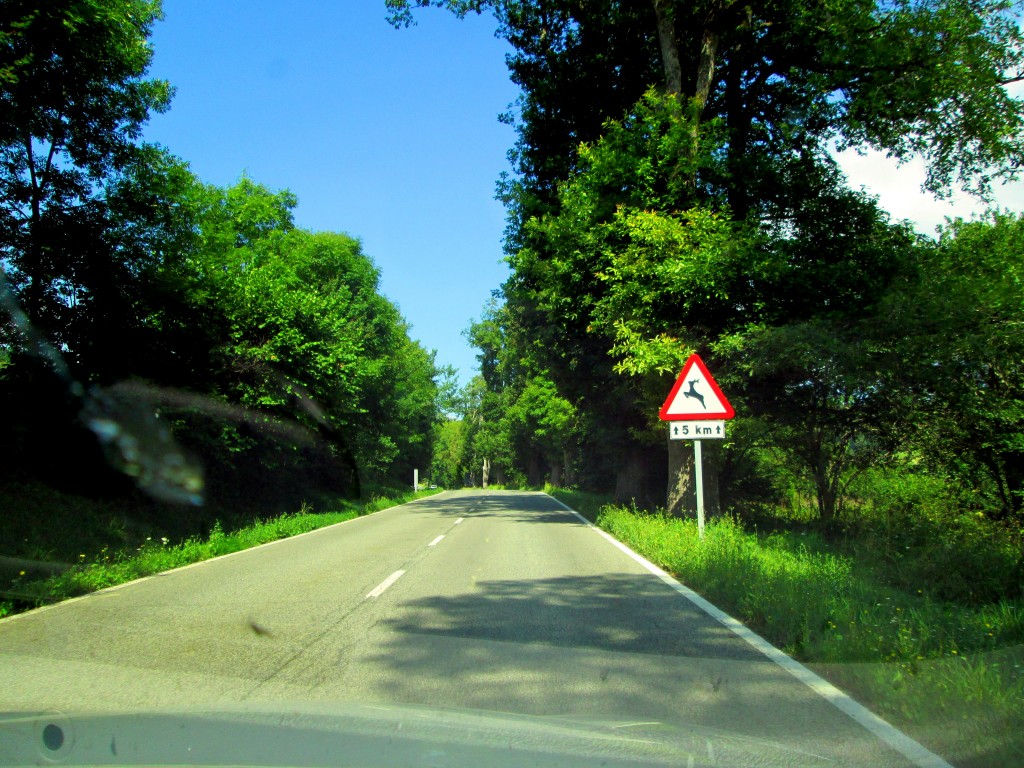 Foto de Espinal (Navarra), España