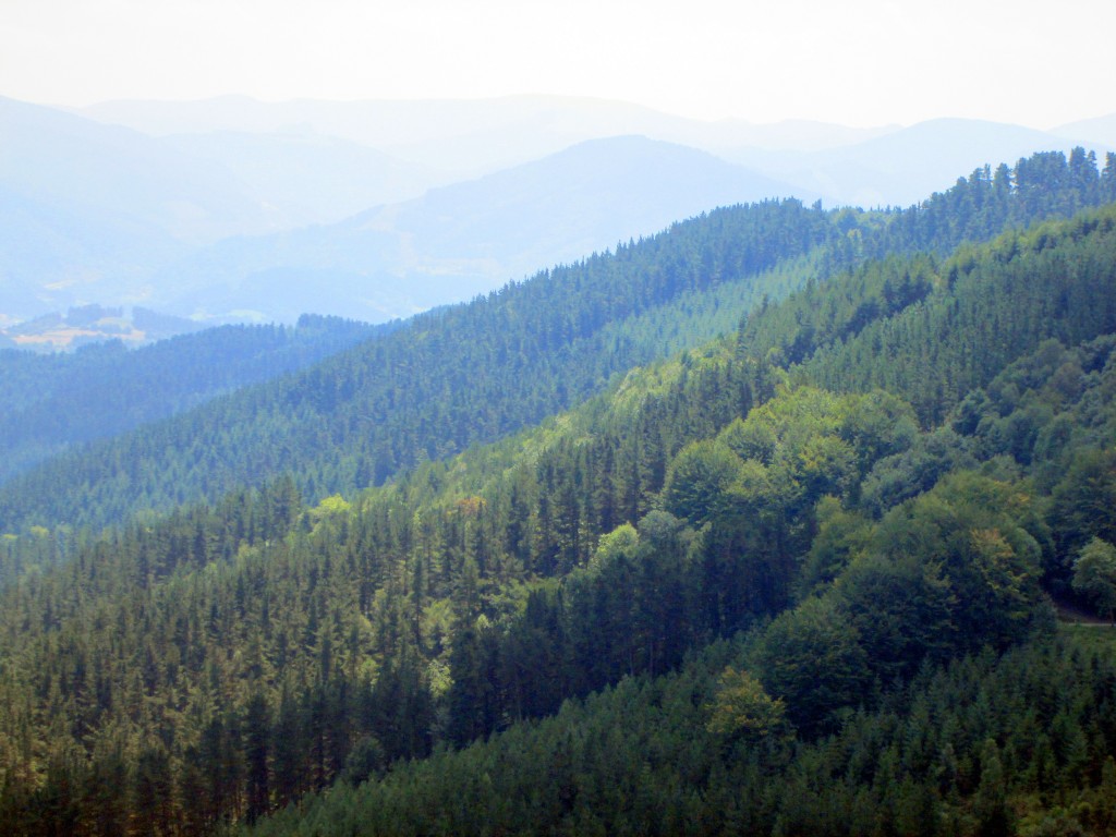 Foto de Mandubia (Gipuzkoa), España