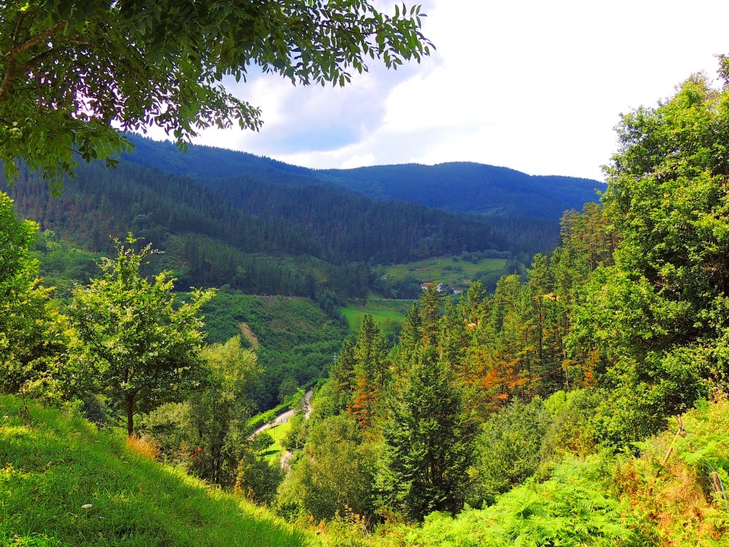 Foto de Mandubia (Gipuzkoa), España
