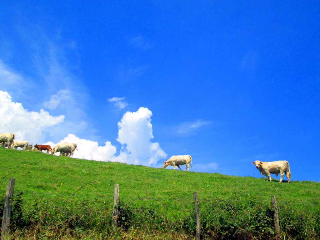 Foto de Mandubia (Gipuzkoa), España