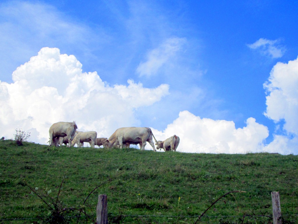 Foto de Mandubia (Gipuzkoa), España