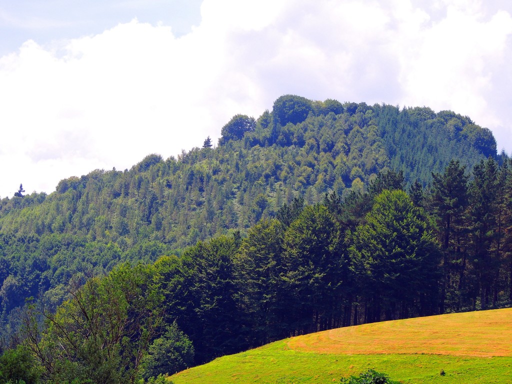 Foto de Mandubia (Gipuzkoa), España