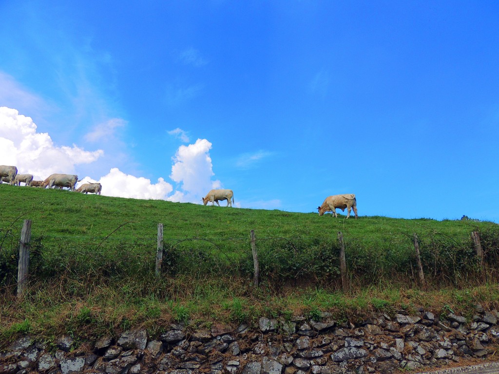 Foto de Mandubia (Gipuzkoa), España