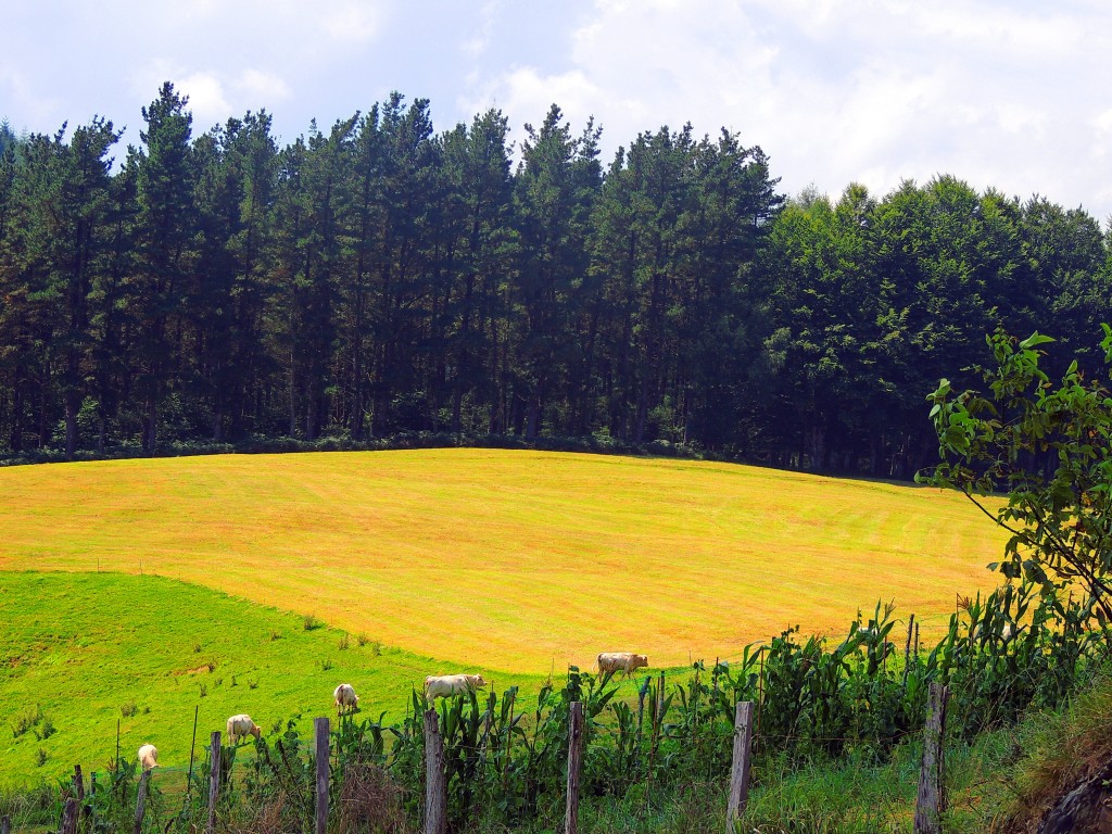 Foto de Mandubia (Gipuzkoa), España