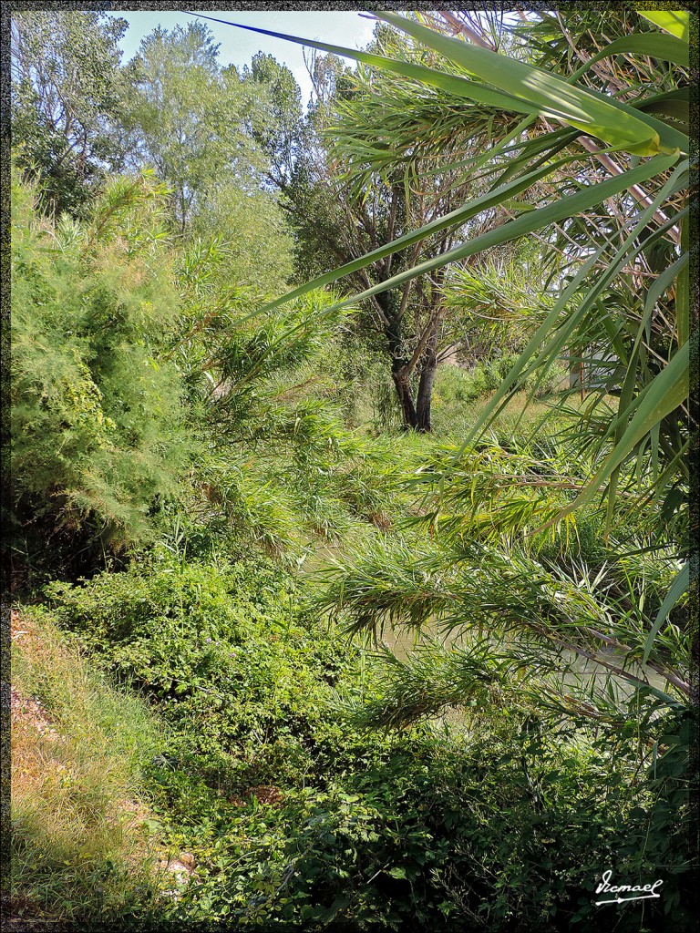 Foto: 140805-02 CALATAYUD - Calatayud (Zaragoza), España