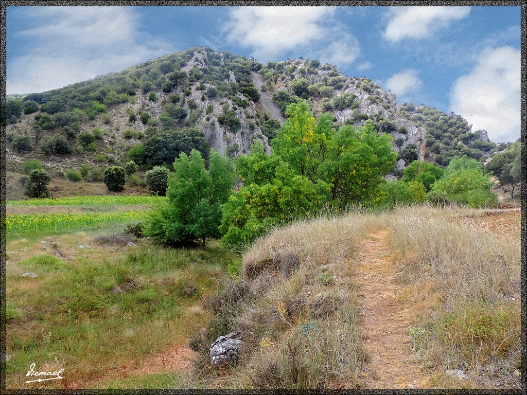 Foto: 140822-22 ALDEHUELA D LIESTOS - Aldehuela De Liestos (Zaragoza), España
