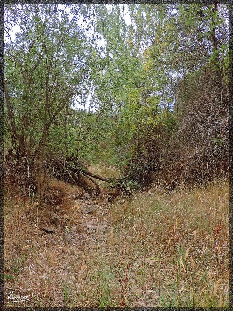 Foto: 140822-37 ALDEHUELA D LIESTOS - Aldehuela De Liestos (Zaragoza), España