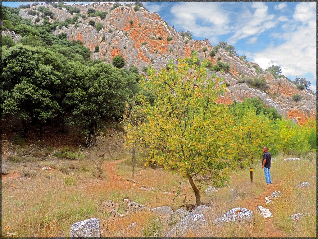 Foto: 140822-52 ALDEHUELA D LIESTOS - Aldehuela De Liestos (Zaragoza), España