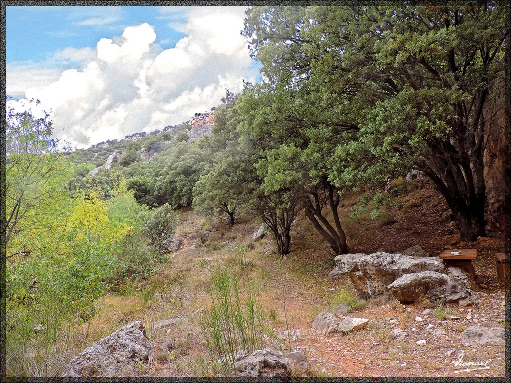 Foto: 140822-53 ALDEHUELA D LIESTOS - Aldehuela De Liestos (Zaragoza), España