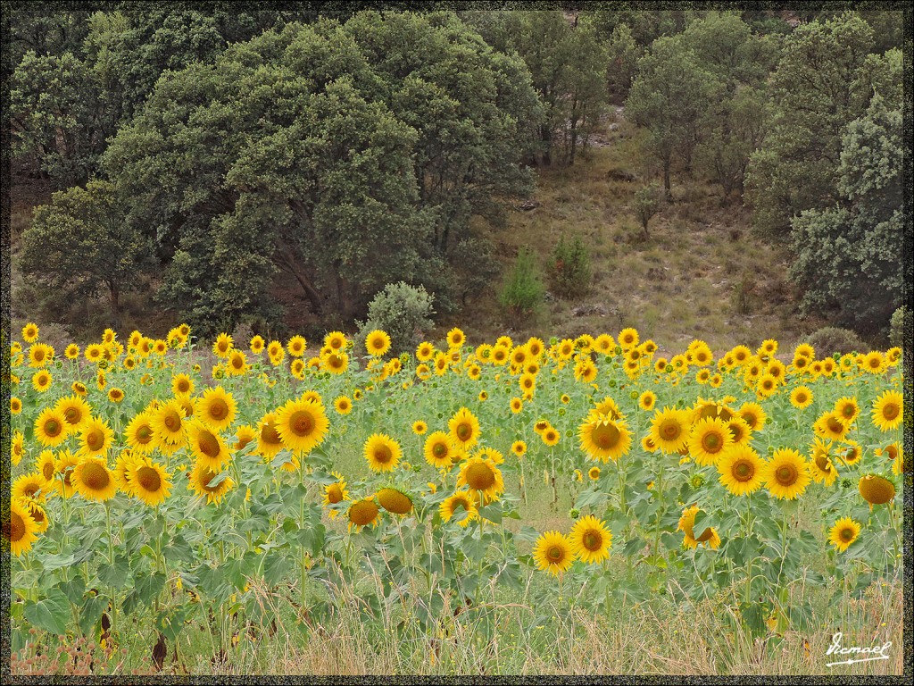 Foto: 140822-55 ALDEHUELA D LIESTOS - Aldehuela De Liestos (Zaragoza), España