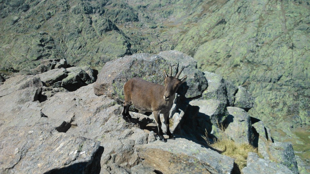 Foto de Hoyos del Espino (Ávila), España