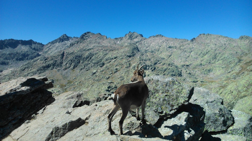 Foto de Hoyos del Espino (Ávila), España