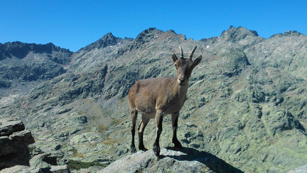 Foto de Hoyos del Espino (Ávila), España