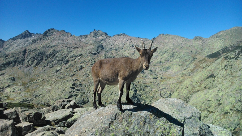 Foto de Hoyos del Espino (Ávila), España