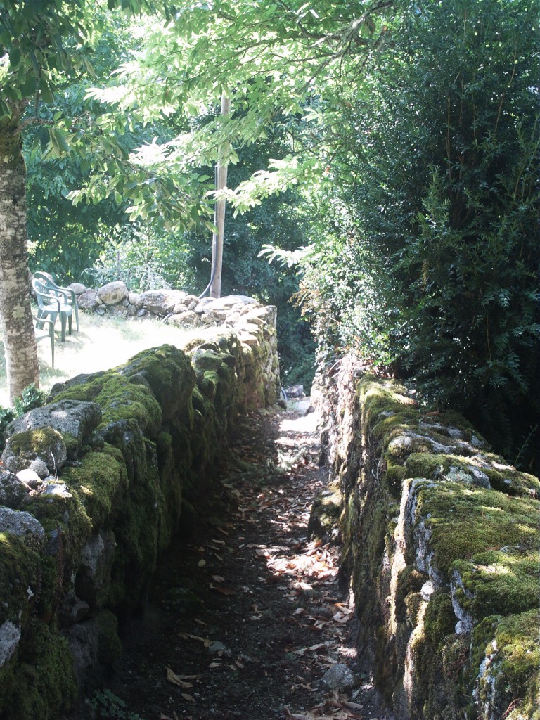 Foto de Ribeira Sacra (Ourense), España