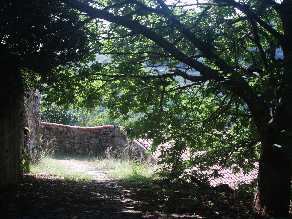 Foto de Ribeira Sacra (Ourense), España