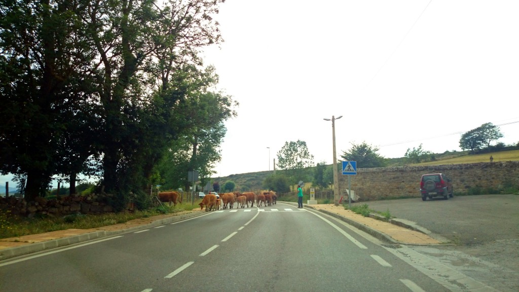 Foto de Reinosa (Cantabria), España