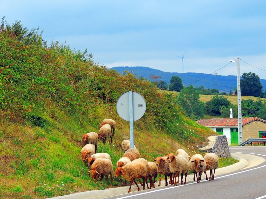 Foto de Las Rozas de Valdearroyos (Cantabria), España
