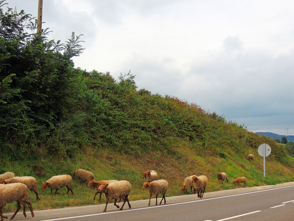 Foto de Las Rozas de Valdearroyos (Cantabria), España