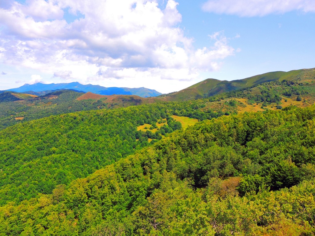 Foto de Piedrasluengas (Cantabria), España