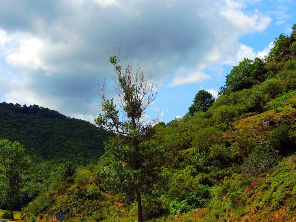Foto de Piedrasluengas (Cantabria), España