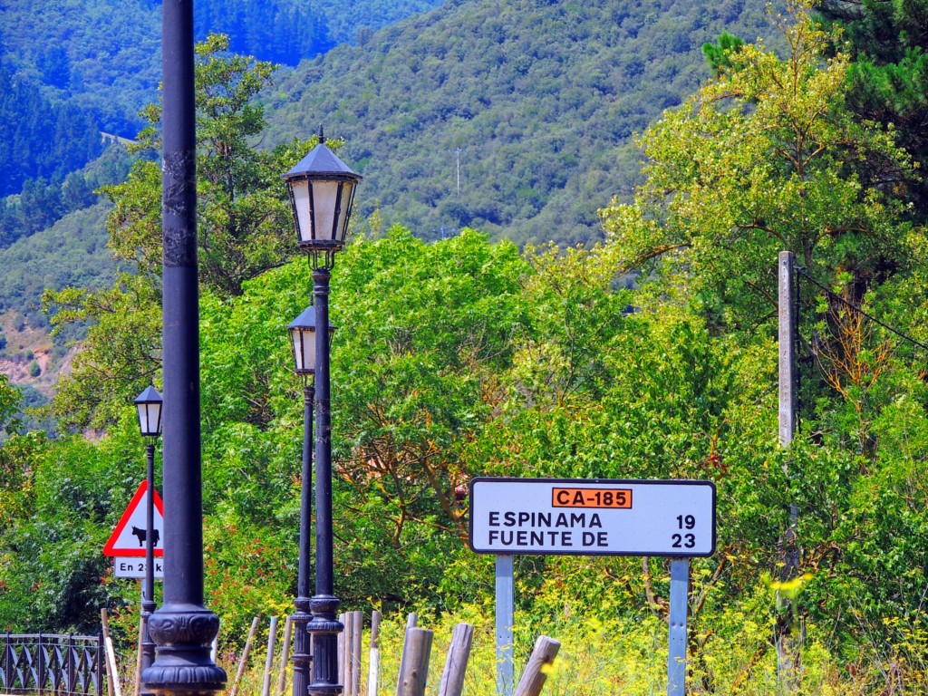 Foto de Valle de Camaleño (Cantabria), España