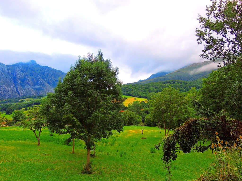 Foto de Arenas de Cabrales (Cantabria), España