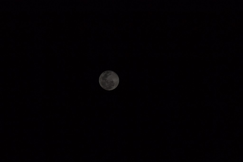 Foto: LUNA - La Higuerita (Atacama), Chile