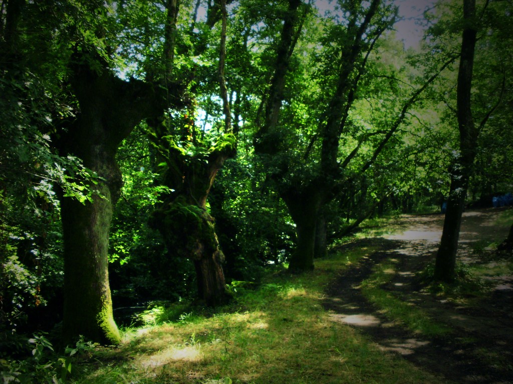 Foto de Vizela (Braga), Portugal