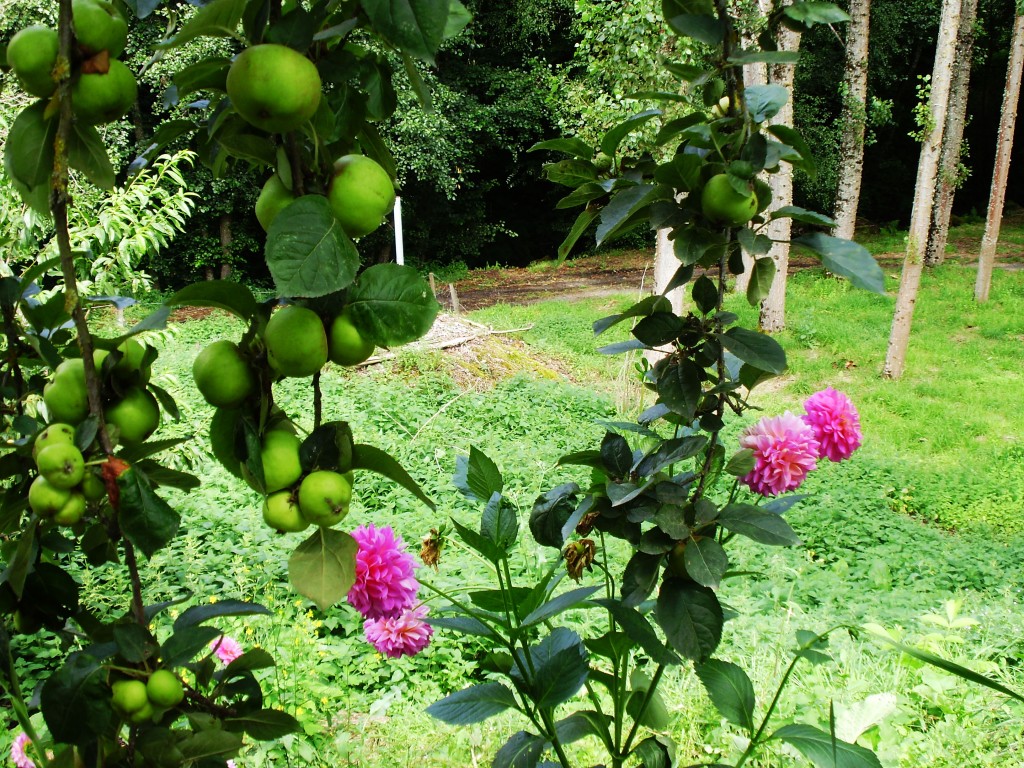 Foto de Vizela (Braga), Portugal