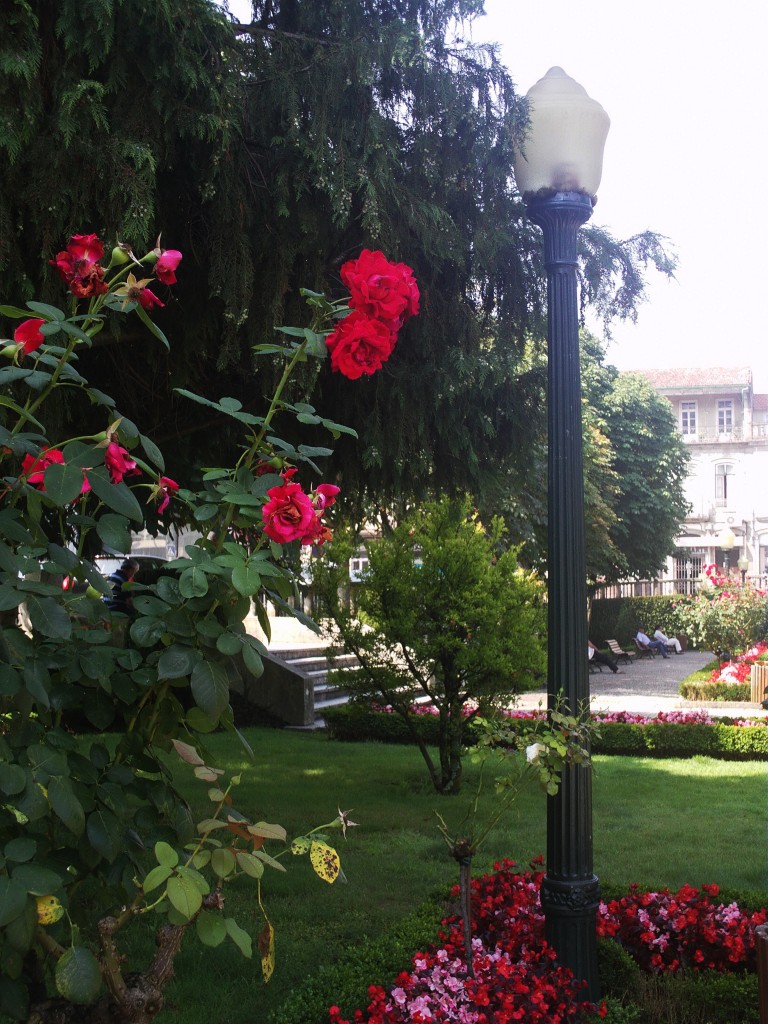 Foto de Vizela (Braga), Portugal