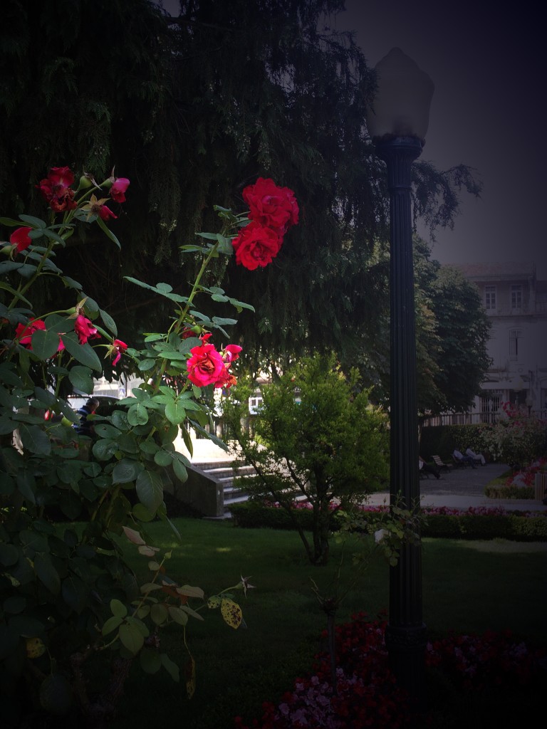 Foto de Vizela (Braga), Portugal